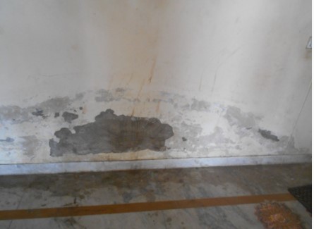 SUJA WATERPROOFING SOLUTIONS - Latest update - Seepage Repair Services Call now : 9945843699